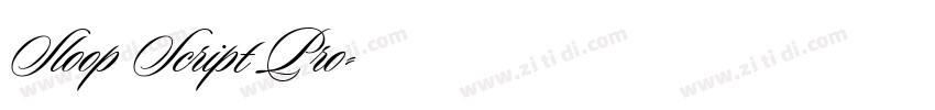 Sloop Script Pro字体转换